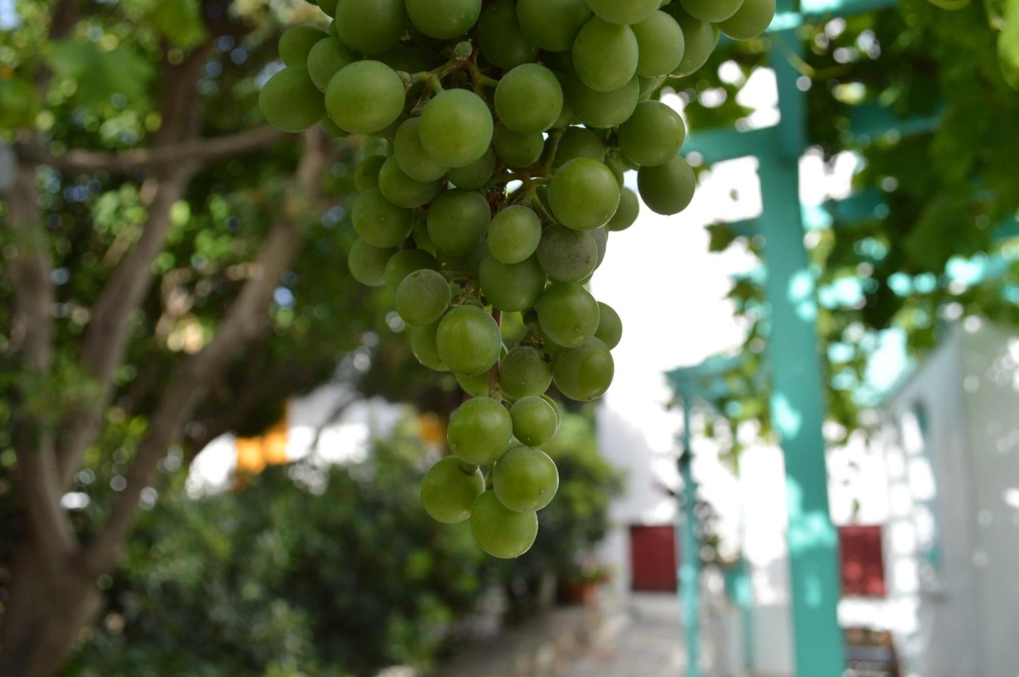 باروس Aegean Village المظهر الخارجي الصورة